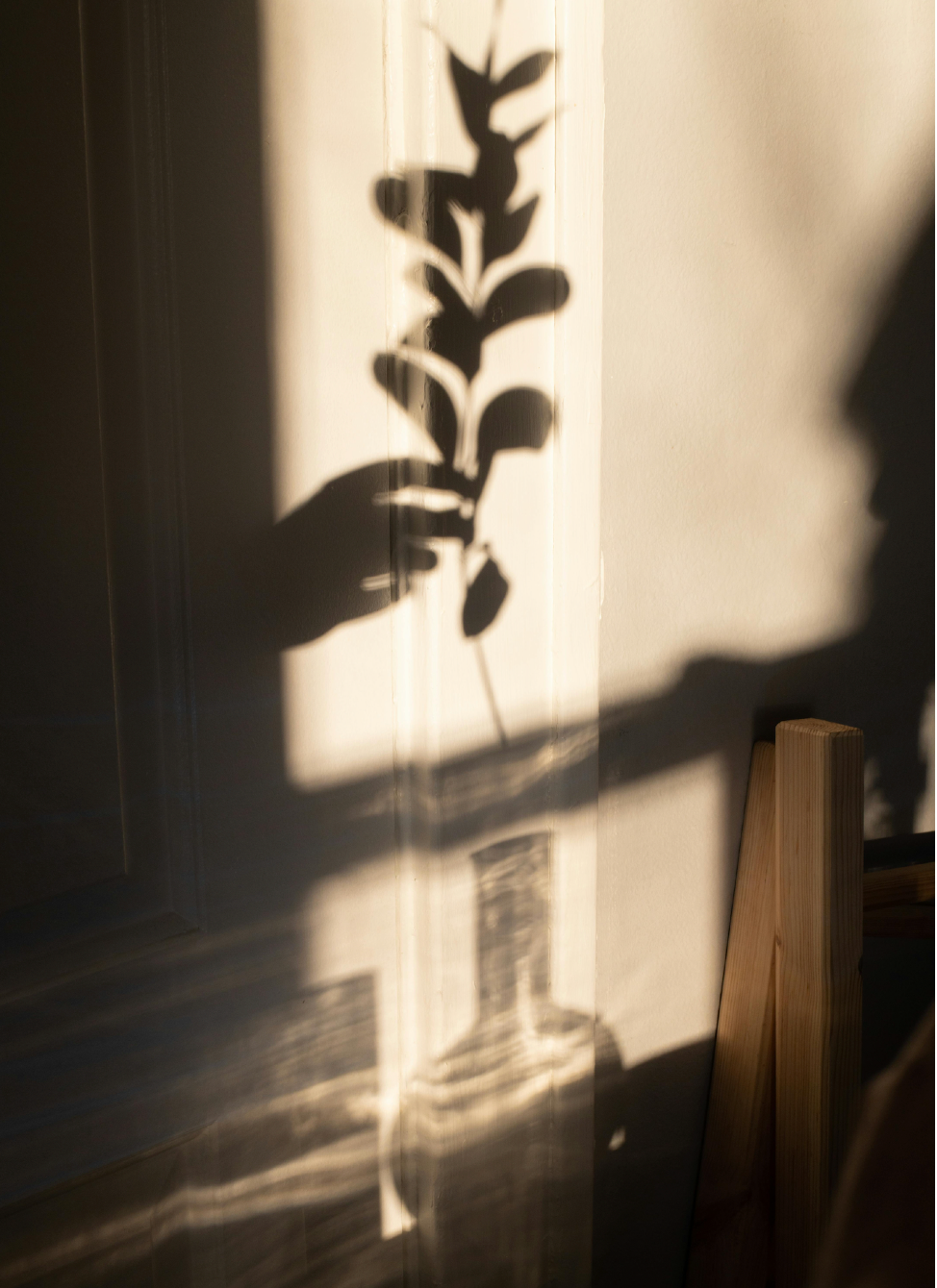 1:1 Holistic Therapy